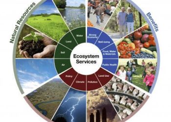 This eco-wheel image shows natural resources provided by biodiversity, the benefits and beneficiaries, and drivers of change.