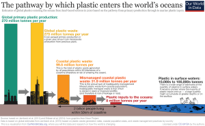 The pathway by which plastic enters the world's oceans