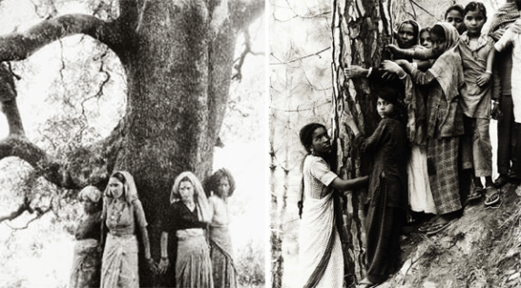 Critiquing Ecofeminism: Gender And Intersectionality In Environment Justice Movements | Feminism in India